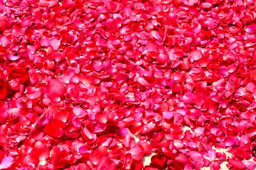 ภาพ No.5534:ประมวลภาพธุดงค์ธรรมชัย 6 มกราคม พ.ศ.2555