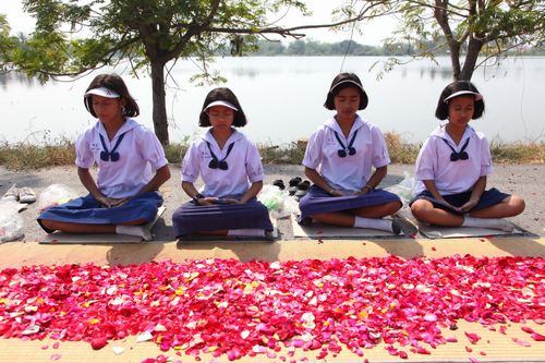 ภาพ No.5536:ประมวลภาพธุดงค์ธรรมชัย 6 มกราคม พ.ศ.2555