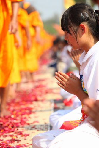 ภาพ No.5542:ประมวลภาพธุดงค์ธรรมชัย 6 มกราคม พ.ศ.2555