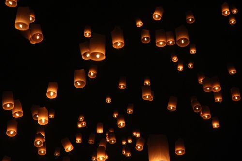 ภาพ No.5644:ประมวลภาพธุดงค์ธรรมชัย 8 มกราคม พ.ศ.2555