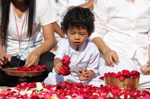 ภาพ No.5665:ประมวลภาพธุดงค์ธรรมชัย 8 มกราคม พ.ศ.2555