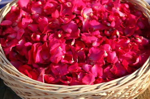 ภาพ No.5672:ประมวลภาพธุดงค์ธรรมชัย 8 มกราคม พ.ศ.2555