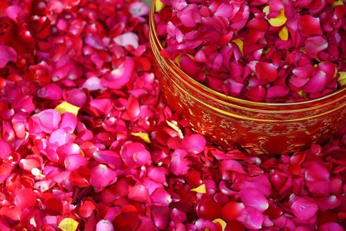 ภาพ No.5674:ประมวลภาพธุดงค์ธรรมชัย 8 มกราคม พ.ศ.2555