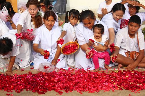 ภาพ No.5678:ประมวลภาพธุดงค์ธรรมชัย 8 มกราคม พ.ศ.2555