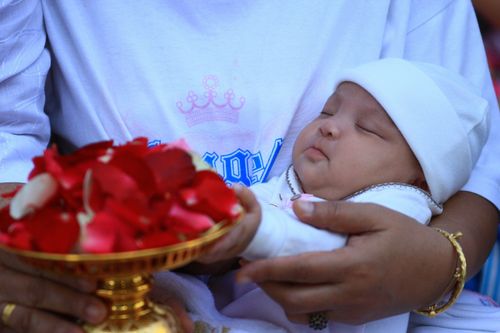 ภาพ No.5702:ประมวลภาพธุดงค์ธรรมชัย 8 มกราคม พ.ศ.2555