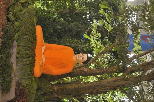 ภาพ No.1815:ภาพประกอบสวยๆๆ