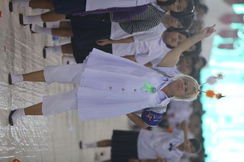 ภาพ No.1200:V-Guide