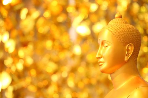 ภาพ No.1801:ภาพประกอบสวยๆๆ