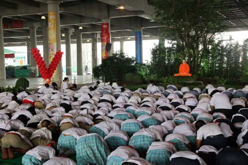 ภาพ No.1492:ปฏิบัติธรรม