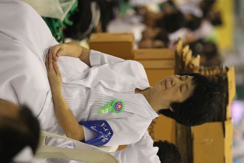 ภาพ No.1207:V-Guide