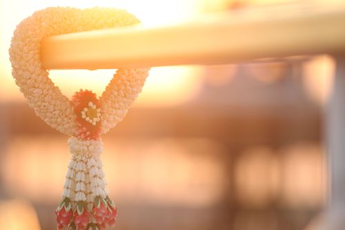 ภาพ No.850:ภาพประกอบสวยๆ