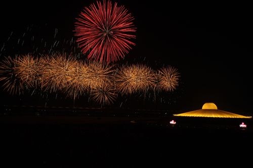 ภาพ No.895:พลุ