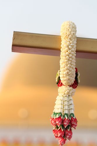 ภาพ No.873:ภาพประกอบสวยๆ