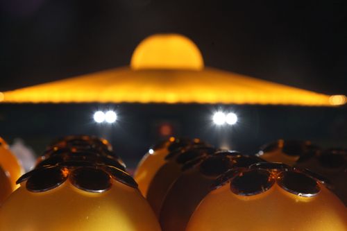 ภาพ No.856:ภาพประกอบสวยๆ