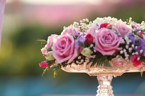 ภาพ No.863:ภาพประกอบสวยๆ