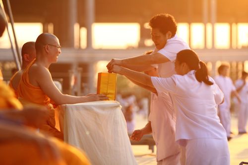 ภาพ No.933:Focus