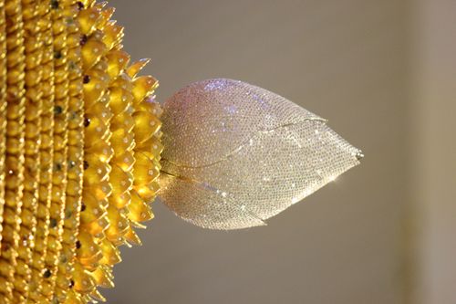 ภาพ No.409:อัฐิธาตุคุณยาย เทวารถอัณเชิญ