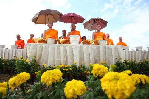 ภาพ No.4515:พิธีปลูกต้นกล้าดอกดาวรวยบรมจักรพรรดิ์ 10 ตุลาคม