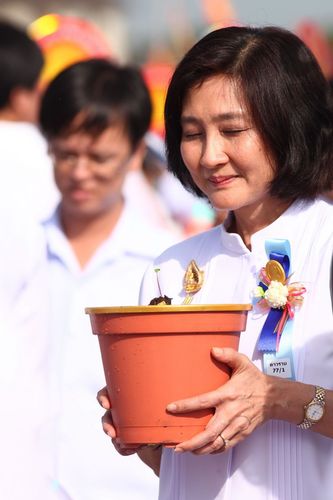 ภาพ No.4518:พิธีปลูกต้นกล้าดอกดาวรวยบรมจักรพรรดิ์ 10 ตุลาคม