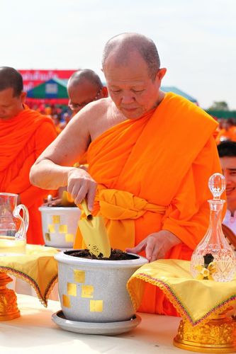 ภาพ No.4531:พิธีปลูกต้นกล้าดอกดาวรวยบรมจักรพรรดิ์ 10 ตุลาคม