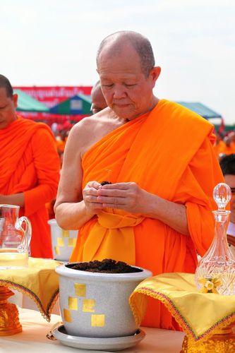 ภาพ No.4530:พิธีปลูกต้นกล้าดอกดาวรวยบรมจักรพรรดิ์ 10 ตุลาคม