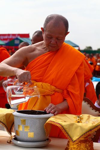 ภาพ No.4540:พิธีปลูกต้นกล้าดอกดาวรวยบรมจักรพรรดิ์ 10 ตุลาคม