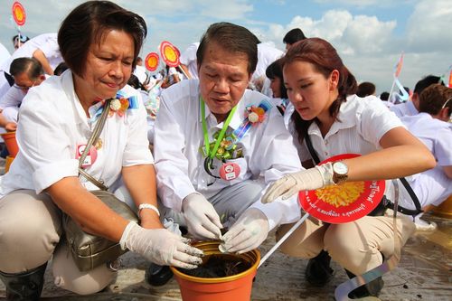 ภาพ No.4544:พิธีปลูกต้นกล้าดอกดาวรวยบรมจักรพรรดิ์ 10 ตุลาคม