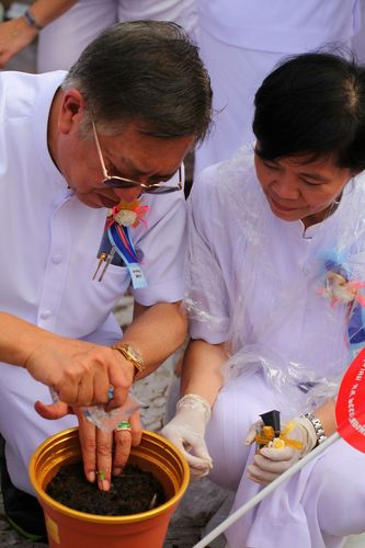 ภาพ No.4552:พิธีปลูกต้นกล้าดอกดาวรวยบรมจักรพรรดิ์ 10 ตุลาคม