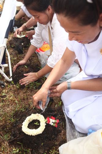 ภาพ No.4581:พิธีปลูกต้นกล้าดอกดาวรวยบรมจักรพรรดิ์ 10 ตุลาคม