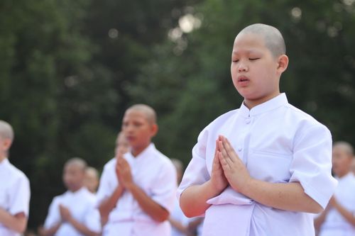 ภาพ No.4617:พิธีบรรพชาธรรมทายาทภาคฤดูฝนรุ่นที่ 1 และยุวชนรอบวัดรุ่นที่ 4