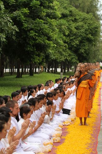 ภาพ No.5263:ภาพโปรยกลีบดอกดาวรวยต้อนรับคณะพระธุดงค์