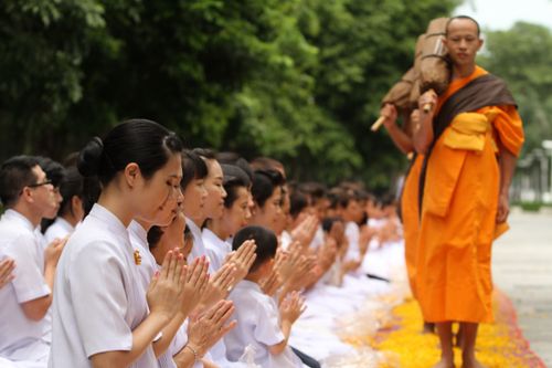 ภาพ No.5248:ภาพโปรยกลีบดอกดาวรวยต้อนรับคณะพระธุดงค์