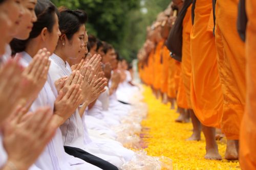 ภาพ No.5249:ภาพโปรยกลีบดอกดาวรวยต้อนรับคณะพระธุดงค์