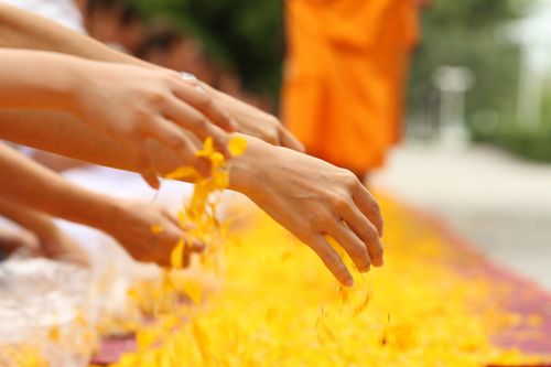 ภาพ No.5250:ภาพโปรยกลีบดอกดาวรวยต้อนรับคณะพระธุดงค์