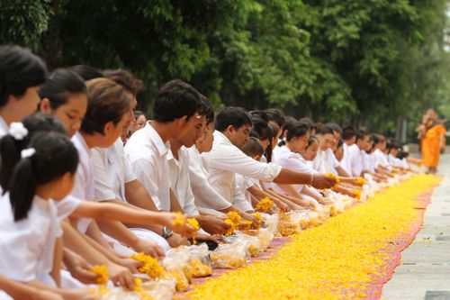 ภาพ No.5254:ภาพโปรยกลีบดอกดาวรวยต้อนรับคณะพระธุดงค์