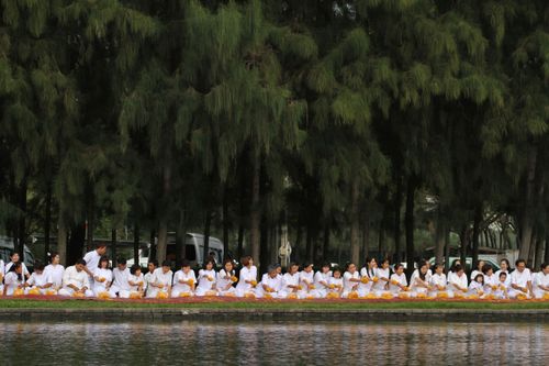 ภาพ No.5259:ภาพโปรยกลีบดอกดาวรวยต้อนรับคณะพระธุดงค์