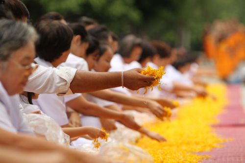 ภาพ No.5260:ภาพโปรยกลีบดอกดาวรวยต้อนรับคณะพระธุดงค์