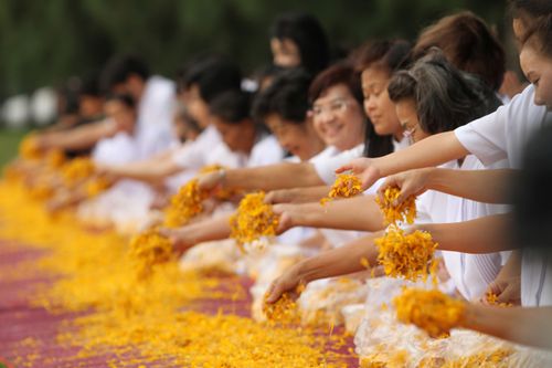 ภาพ No.5265:ภาพโปรยกลีบดอกดาวรวยต้อนรับคณะพระธุดงค์