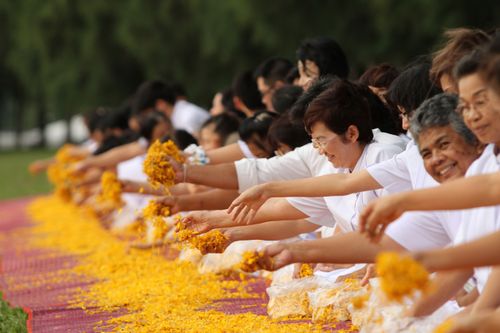 ภาพ No.5267:ภาพโปรยกลีบดอกดาวรวยต้อนรับคณะพระธุดงค์