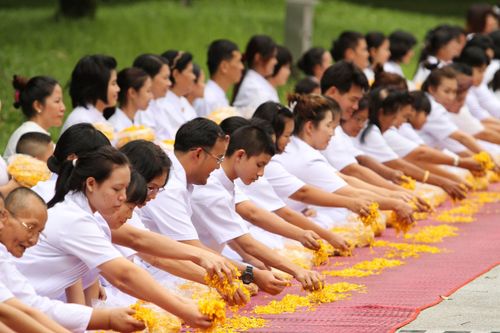 ภาพ No.5269:ภาพโปรยกลีบดอกดาวรวยต้อนรับคณะพระธุดงค์