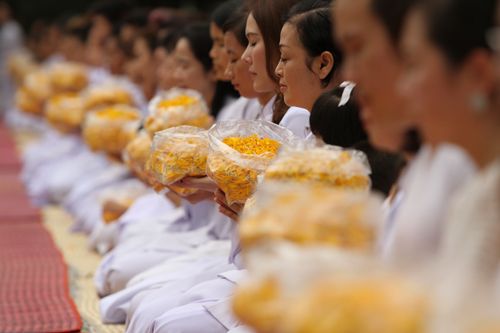 ภาพ No.5272:ภาพโปรยกลีบดอกดาวรวยต้อนรับคณะพระธุดงค์