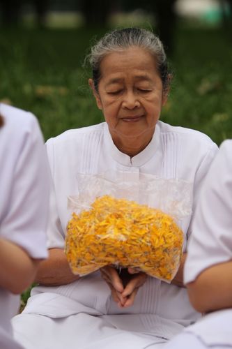 ภาพ No.5274:ภาพโปรยกลีบดอกดาวรวยต้อนรับคณะพระธุดงค์