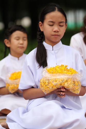 ภาพ No.5276:ภาพโปรยกลีบดอกดาวรวยต้อนรับคณะพระธุดงค์