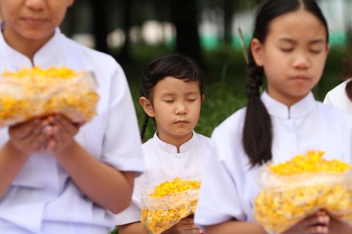 ภาพ No.5278:ภาพโปรยกลีบดอกดาวรวยต้อนรับคณะพระธุดงค์