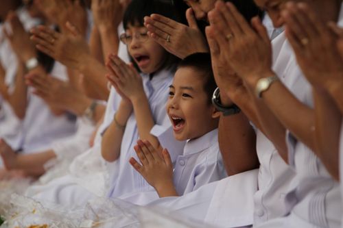 ภาพ No.5279:ภาพโปรยกลีบดอกดาวรวยต้อนรับคณะพระธุดงค์