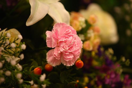 ภาพ No.5327:พิธีทำบุญอายุวัฒนมงคล 6 รอบ 72 ปี พระภาวนาวิริยคุณ (เผด็จ ทตฺตชีโว)