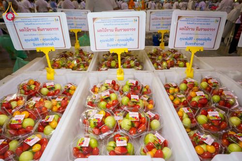 ภาพ No.303140:วันที่ 26 มกราคม พ.ศ. 2569 พิธีถวายภัตตาหารเป็นสังฆทาน แด่พระธรรมยาตรา ณ วัดพระธรรมกาย  จังหวัดปทุมธานี ในโครงการธรรมยาตรา กตัญญูบูชา มหาปูชนียาจารย์ พระมงคลเทพมุนี(สด จนฺทสโร) พระผู้ปราบมาร อนุสรณ์สถาน 7 แห่ง ปีที่ 14