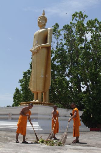 ภาพ No.2116:พัฒนาวัด