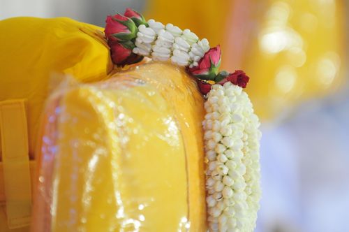 ภาพ No.1855:ก่อนบรรพชา