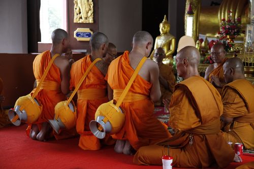 ภาพ No.2039:อุปสมบท